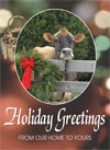 Holiday Greetings Cow
